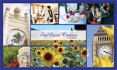 Luxury Cruises